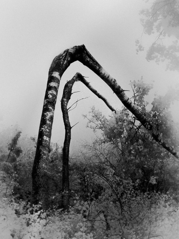 10_GONZALEZ CAMACHO Francisco_You can-t enter the same river twice_Inception