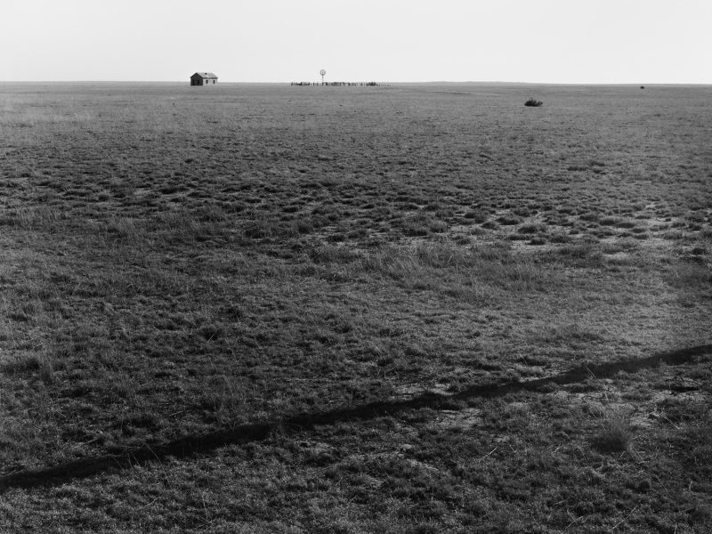 16_QUINTANA Austin_Rocío_The Plain
