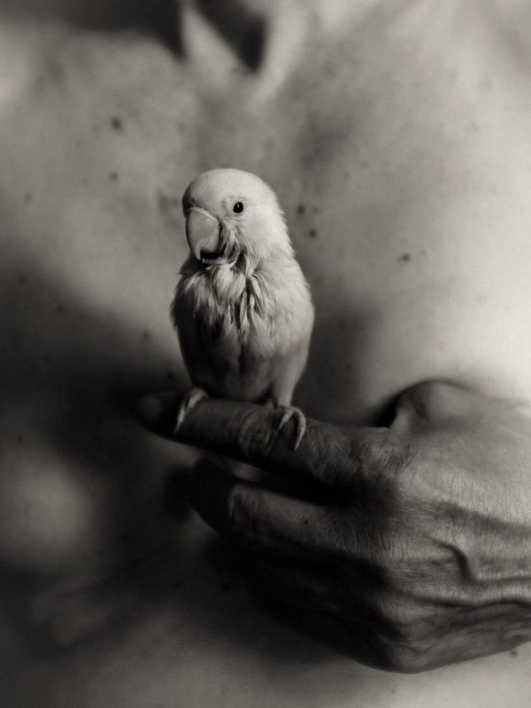 23_Allan Salas_Thorns_Dad and Bird