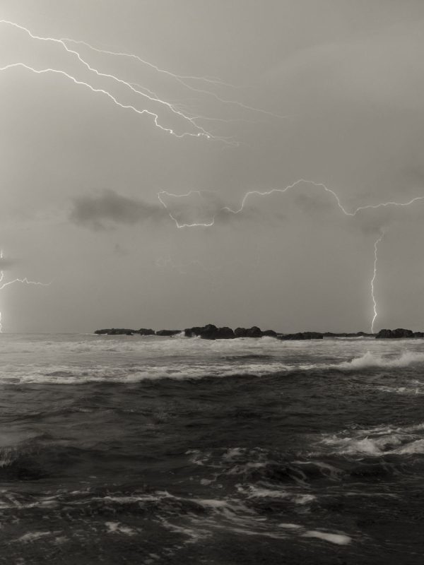 24_Allan Salas_Thorns_The Storm